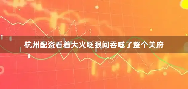杭州配资看着大火眨眼间吞噬了整个关府