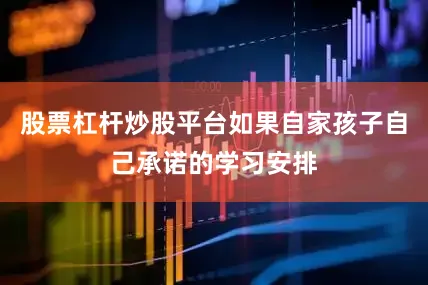 股票杠杆炒股平台如果自家孩子自己承诺的学习安排