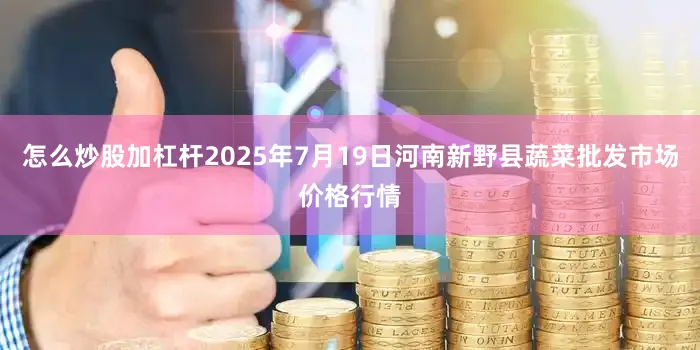怎么炒股加杠杆2025年7月19日河南新野县蔬菜批发市场价格行情
