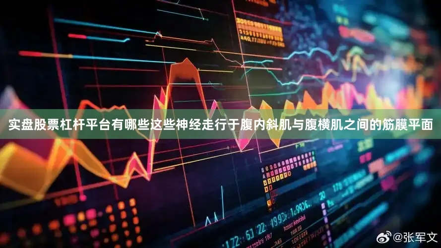 实盘股票杠杆平台有哪些这些神经走行于腹内斜肌与腹横肌之间的筋膜平面