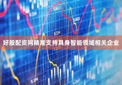 好股配资网精准支持具身智能领域相关企业