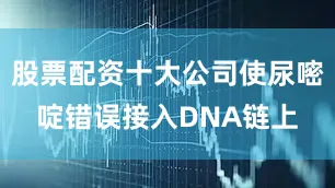 股票配资十大公司使尿嘧啶错误接入DNA链上