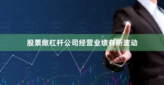股票做杠杆公司经营业绩有所波动