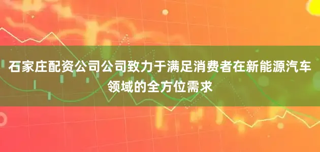 石家庄配资公司公司致力于满足消费者在新能源汽车领域的全方位需求