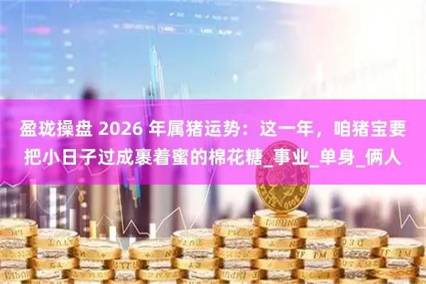 盈珑操盘 2026 年属猪运势：这一年，咱猪宝要把小日子过成裹着蜜的棉花糖_事业_单身_俩人